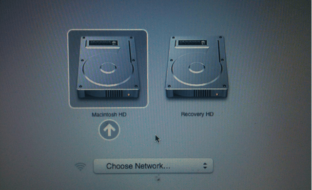Recrer partition Recovery HD lion